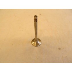 Exhaust Valve