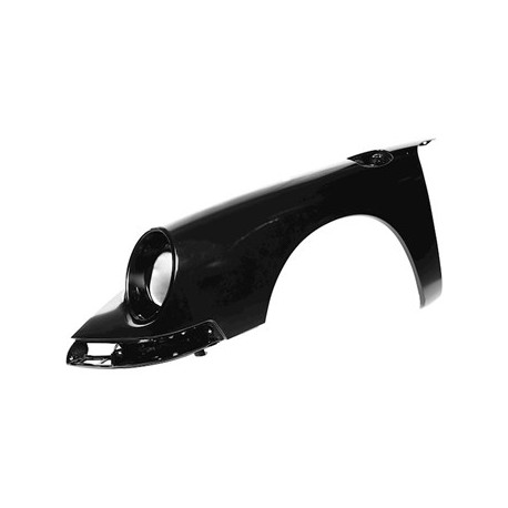 Kotflügel, vorne, links