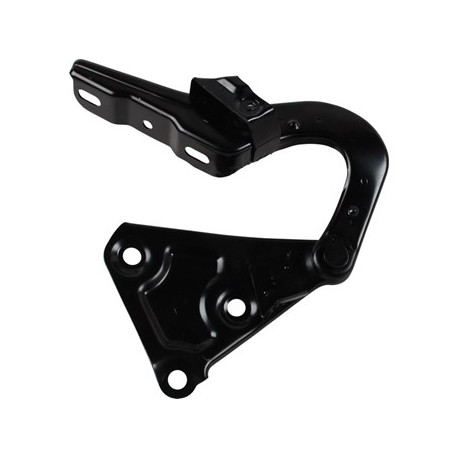 Klappenscharnier, vorne, links